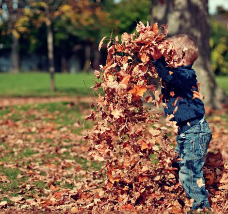 warm herfstbeeld spelen met bladeren